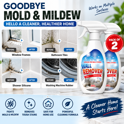 Wall Mold remover spray (Pack of 2)