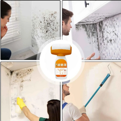 2-in-1 Wall Repair Paint Roller